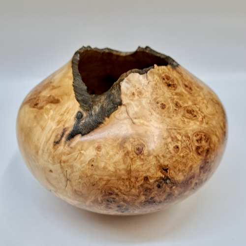 JW-253 Colorado Aspen Burl Hollow Woodturning $225 at Hunter Wolff Gallery